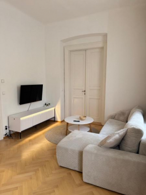 Wenceslas Square Bright Apartment